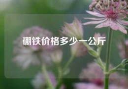 硼鐵價格多少一公斤