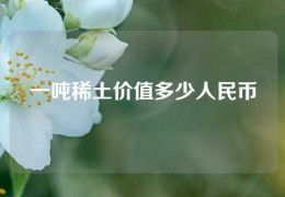 一噸稀土價(jià)值多少人民幣