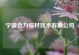 寧波合力磁材技術(shù)有限公司