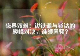 磁界雙雄：釹鐵硼與釤鈷的巔峰對決，誰領風騷？