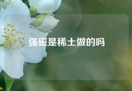 強(qiáng)磁是稀土做的嗎