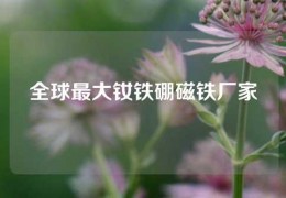 全球最大釹鐵硼磁鐵廠家