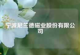 寧波尼蘭德磁業(yè)股份有限公司