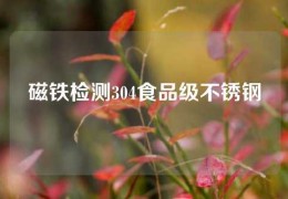 磁鐵檢測(cè)304食品級(jí)不銹鋼