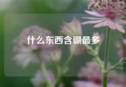 什么東西含硼最多