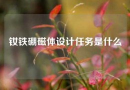 釹鐵硼磁體設計任務是什么