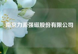 南京力源強磁股份有限公司