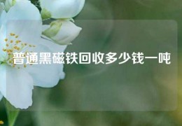 普通黑磁鐵回收多少錢一噸