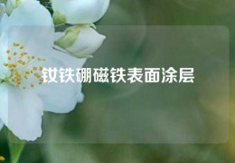 釹鐵硼磁鐵表面涂層