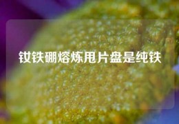 釹鐵硼熔煉甩片盤是純鐵