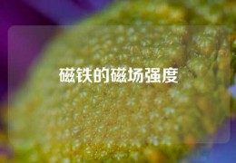 磁鐵的磁場強度