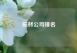 磁材公司排名