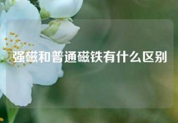 強(qiáng)磁和普通磁鐵有什么區(qū)別