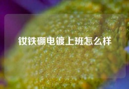 釹鐵硼電鍍上班怎么樣