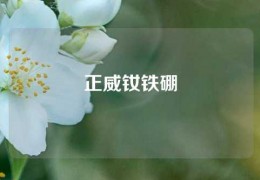 正威釹鐵硼