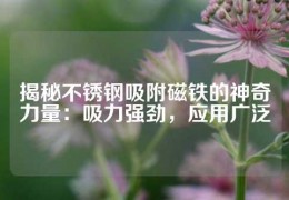 揭秘不銹鋼吸附磁鐵的神奇力量：吸力強勁，應(yīng)用廣泛