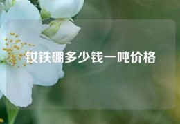 釹鐵硼多少錢一噸價(jià)格