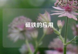 磁鐵的應(yīng)用