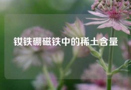 釹鐵硼磁鐵中的稀土含量