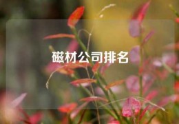 磁材公司排名