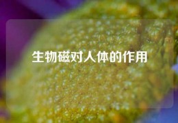 生物磁對人體的作用