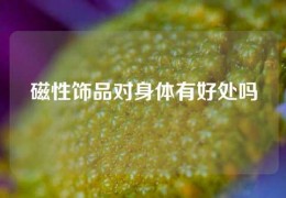 磁性飾品對身體有好處嗎