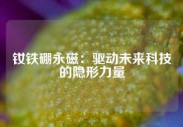 釹鐵硼永磁：驅動未來科技的隱形力量