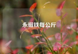 永磁鐵每公斤