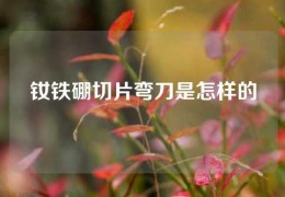 釹鐵硼切片彎刀是怎樣的