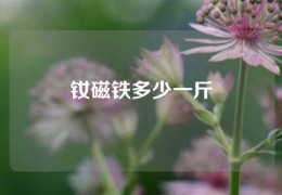 釹磁鐵多少一斤