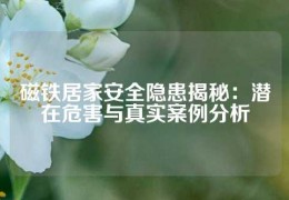 磁鐵居家安全隱患揭秘：潛在危害與真實(shí)案例分析