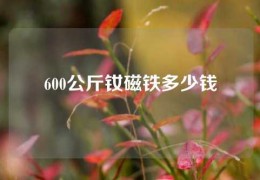 600公斤釹磁鐵多少錢