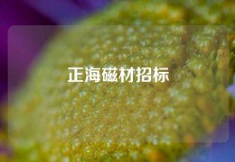 正海磁材招標