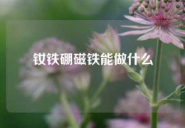 釹鐵硼磁鐵能做什么