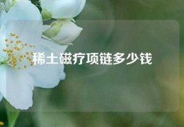 稀土磁療項鏈多少錢