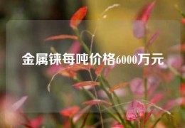 金屬錸每噸價格6000萬元