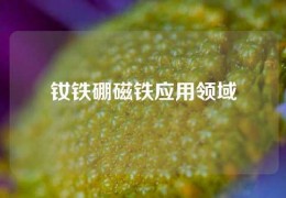 釹鐵硼磁鐵應用領域