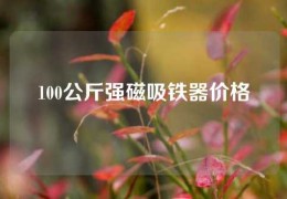 100公斤強磁吸鐵器價格