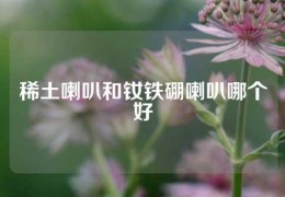 稀土喇叭和釹鐵硼喇叭哪個好