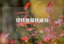 釹鐵硼磁鐵成分