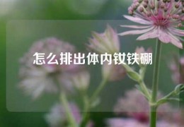 怎么排出體內(nèi)釹鐵硼