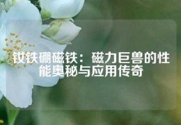 釹鐵硼磁鐵：磁力巨獸的性能奧秘與應用傳奇