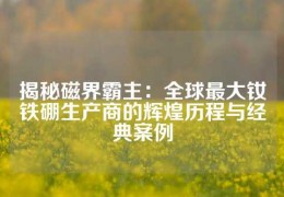 揭秘磁界霸主：全球最大釹鐵硼生產商的輝煌歷程與經典案例