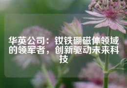 華英公司：釹鐵硼磁體領(lǐng)域的領(lǐng)軍者，創(chuàng)新驅(qū)動未來科技