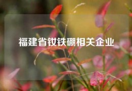 福建省釹鐵硼相關企業