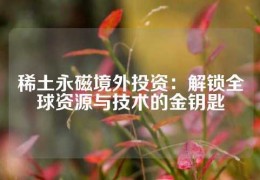 稀土永磁境外投資：解鎖全球資源與技術(shù)的金鑰匙