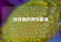 釹鐵硼的彈性模量