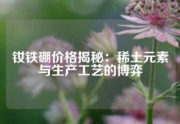 釹鐵硼價格揭秘：稀土元素與生產(chǎn)工藝的博弈