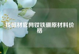 找磁材官網(wǎng)釹鐵硼原材料價格