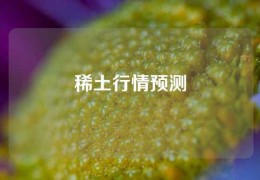 稀土行情預測